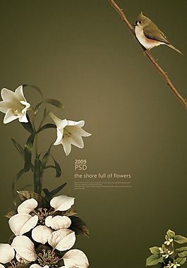 百合花