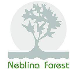 Neblina_Forest logo設(shè)計(jì)欣賞 Neblina_Forest旅游網(wǎng)站標(biāo)志下載標(biāo)志設(shè)計(jì)欣賞