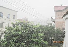 4月江南桔園