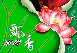翠荷飄香