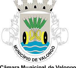Camara_Municipal_de_Valongo logo設(shè)計欣賞 Camara_Municipal_de_Valongo旅行社LOGO下載標(biāo)志設(shè)計欣賞