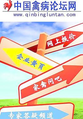 x展架图片