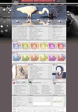 攝影網(wǎng)站圖片