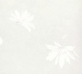 35944_布紋_中式