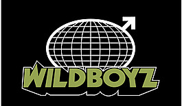 Wildboyz logo設(shè)計(jì)欣賞 Wildboyz電視媒體標(biāo)志下載標(biāo)志設(shè)計(jì)欣賞
