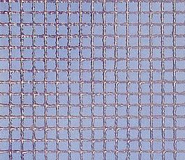 45721_馬賽克_綜合