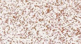 44461_肌理油彩_壁肌理