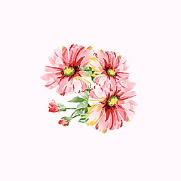 矢量 psd 植物 免費素材