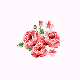 矢量 psd 植物 免費素材