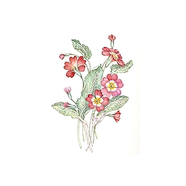 非矢量 PSD 寫意花卉 免費素材