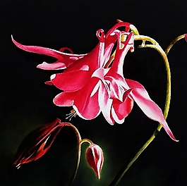 位圖 寫意花卉 植物 花朵 免費素材
