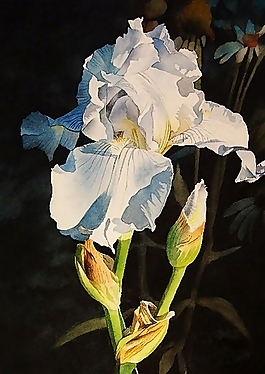 位圖 寫(xiě)意花卉 植物 花朵 免費(fèi)素材