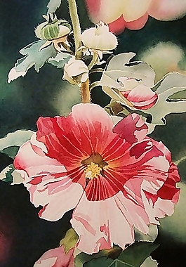 位圖 寫意花卉 植物 花朵 免費素材