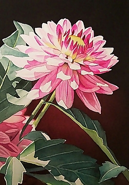 位圖 寫意花卉 植物 花朵 免費素材