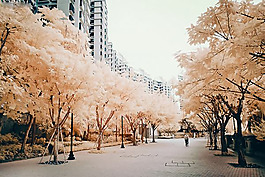 位圖 插畫師 yiu yu hoi 免費素材