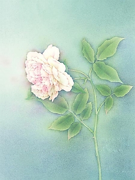位圖 寫意花卉 植物 花朵 免費素材