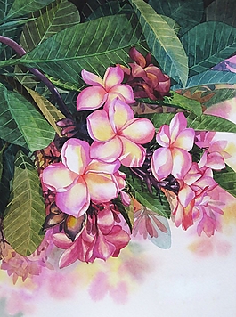 位圖 寫意花卉 植物 花朵 免費(fèi)素材