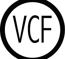 valencia_cf_vcf logo設計欣賞 valencia_cf_vcf體育比賽標志下載標志設計欣賞