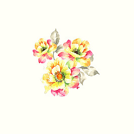 位圖 psd 植物 花朵 pop原創(chuàng) 免費素材