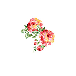 位圖 位圖 psd 植物 花朵 免費(fèi)素材