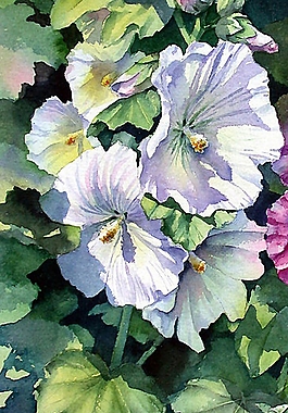 位圖 寫意花卉 植物 花朵 免費素材