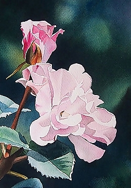 位圖 寫(xiě)意花卉 植物 花朵 免費(fèi)素材