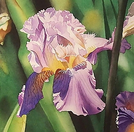 位圖 寫意花卉 植物 花朵 免費素材
