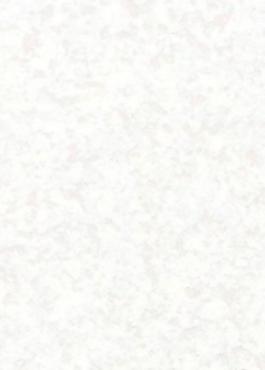 44471_肌理油彩_壁肌理