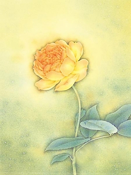 位圖 寫意花卉 植物 花朵 牡丹花 免費素材