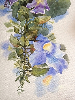 位圖 寫(xiě)意花卉 植物 花朵 免費(fèi)素材