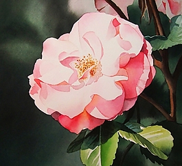 位圖 寫意花卉 植物 花朵 免費(fèi)素材