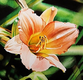位圖 寫意花卉 植物 花朵 免費素材