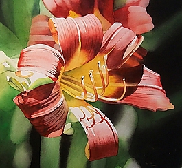 位圖 寫意花卉 植物 花朵 免費(fèi)素材