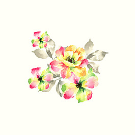 位圖 psd 植物 花朵 免費(fèi)素材