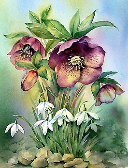位圖 寫意花卉 植物 花朵 免費素材
