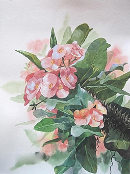 位圖 寫意花卉 植物 花朵 免費(fèi)素材