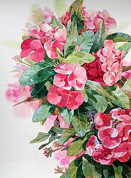 位圖 寫(xiě)意花卉 植物 花朵 免費(fèi)素材