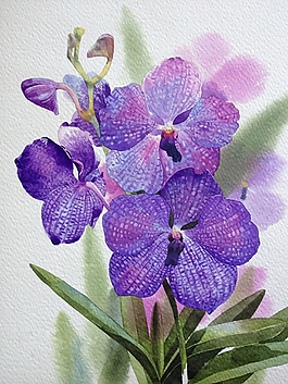 位圖 寫意花卉 植物 花朵 免費(fèi)素材