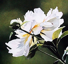 位圖 寫意花卉 植物 花朵 免費(fèi)素材