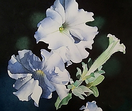 位圖 寫意花卉 植物 花朵 免費素材