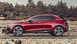 DS 越野車圖片