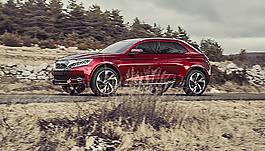 DS 越野車圖片
