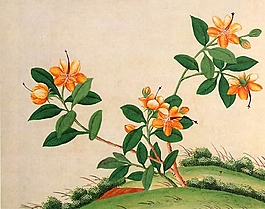 位圖 寫意花卉 植物 花朵 免費素材