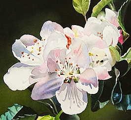 位圖 寫意花卉 植物 花朵 免費素材