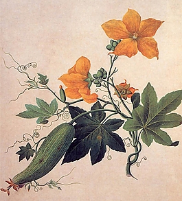 位圖 寫意花卉 植物 花朵 免費(fèi)素材