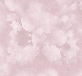 51252_布紋_花布