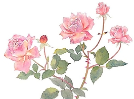 位圖 寫(xiě)意花卉 植物 花朵 免費(fèi)素材