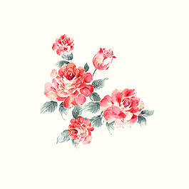 位圖 psd 植物 花朵 免費素材
