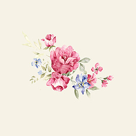 位圖 psd 植物 花朵 免費(fèi)素材