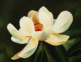 位圖 寫(xiě)意花卉 植物 花朵 免費(fèi)素材